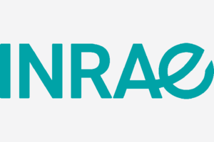 Logo-INRAE_Quadri-HD_large
